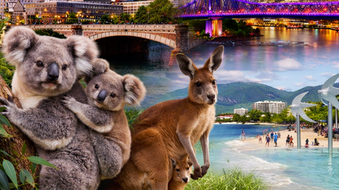 Dein Traumurlaub 2026