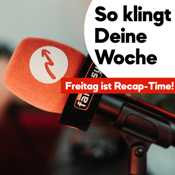 Die Highlights und Lowlights
