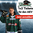 Die Augsburger Panther