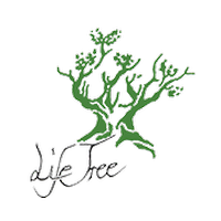 web_logo_lifetree_c_01