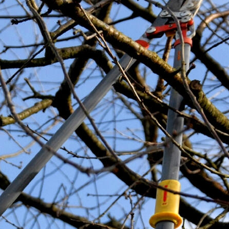 Appell der Stadt Augsburg: Waldwegsperrungen müssen beachtet werden
