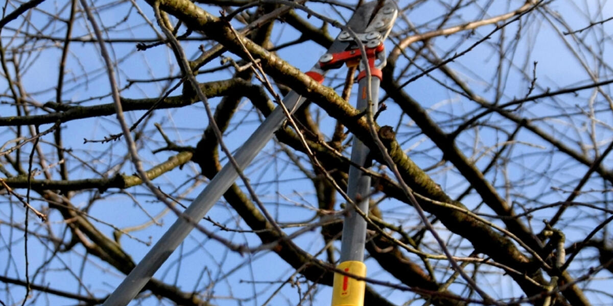 Appell der Stadt Augsburg: Waldwegsperrungen müssen beachtet werden