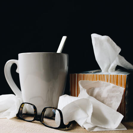 Hausmittel gegen Erkältung