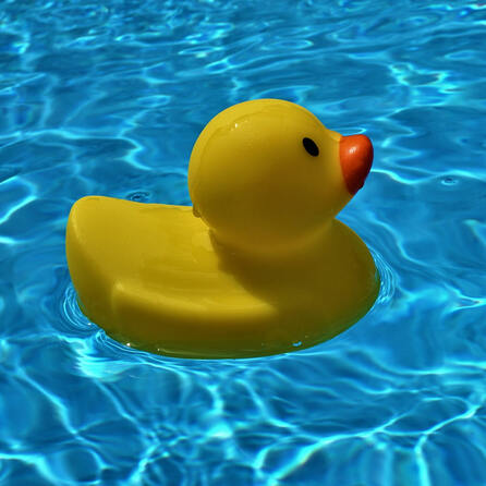 Kostenlos baden - die kompletten Sommerferien