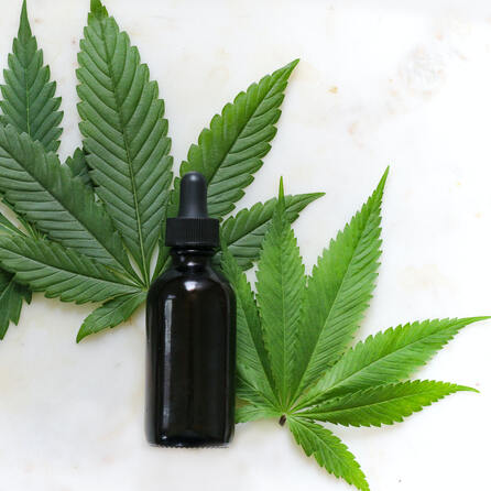 Kommt die Legalisierung "Light"?