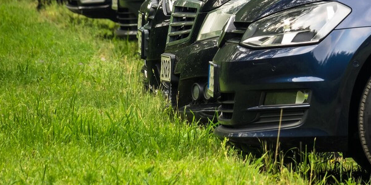 Parkplatzmangel: Futterwiese am Augsburger Zoo als Parkplatz missbraucht
