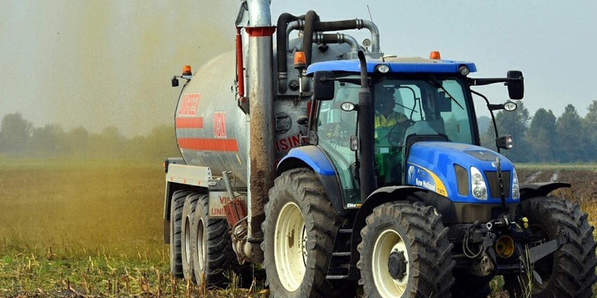 Nasse Felder machen den Bauern in der Augsburger Region heftige Probleme