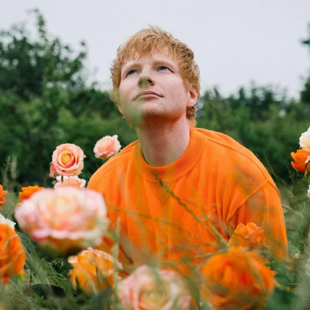 Kein Plan B für Ed Sheeran