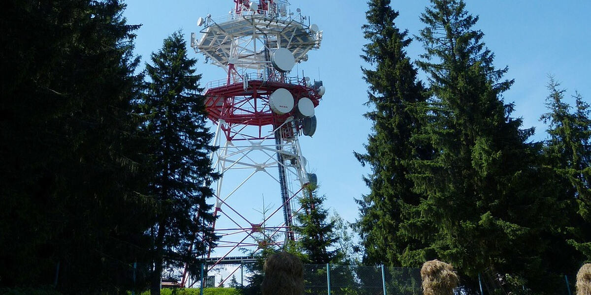 Rund 45 Bäume werden im Kreis Augsburg für Mobilfunkmast gefällt