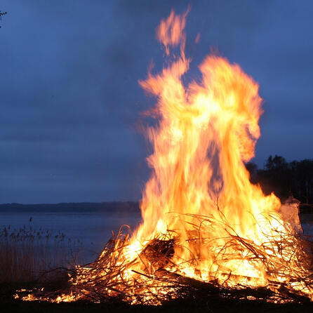 Augsburg: Lagerfeuer im Wald - Männer uneinsichtig