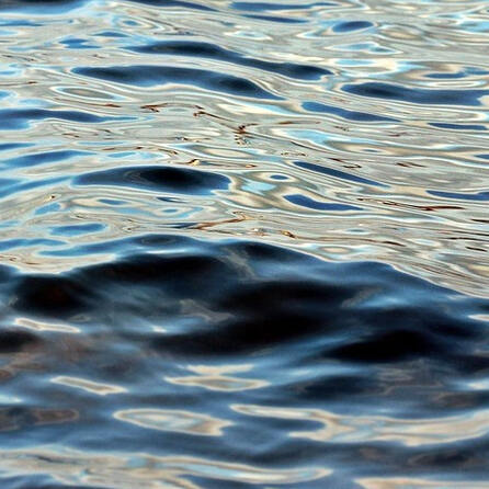 Beim Stand-Up-Paddling in Augsburg eine Leiche im See entdeckt