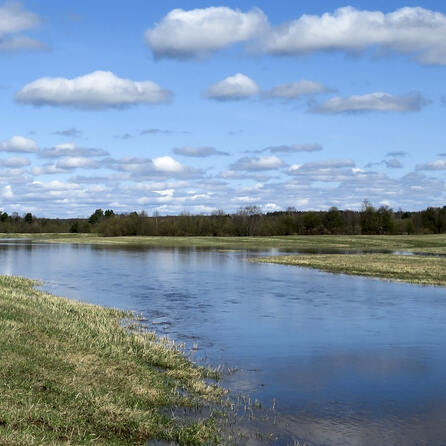 Hochwasser ohne Ende - Pegel steigen auch im Kreis Donau-Ries wieder 