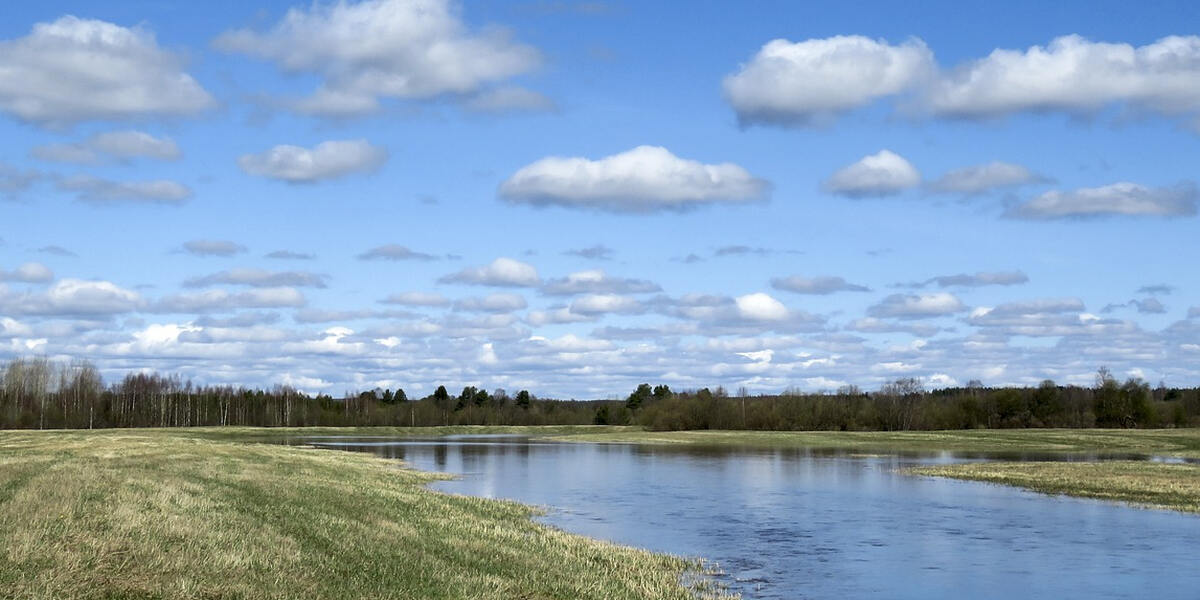 Hochwasser ohne Ende - Pegel steigen auch im Kreis Donau-Ries wieder 
