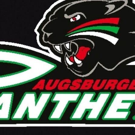 Augsburger Panther: So viele Zuschauer wie noch nie