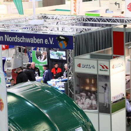 Augsburg: afa ist endgültig angezählt