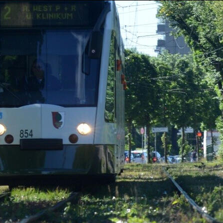Quietschen und Beben ist wohl bald vorbei - Tram-3-Trasse in Königsbrunn wird geölt und gedämpft 