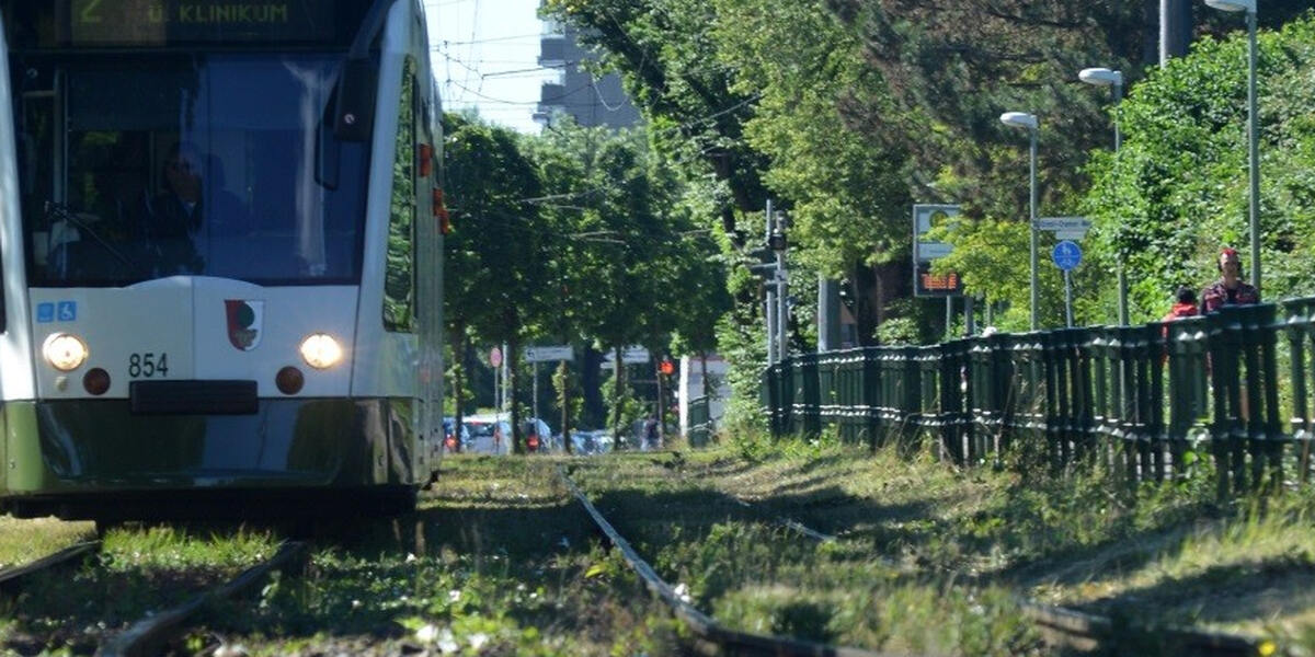 Quietschen und Beben ist wohl bald vorbei - Tram-3-Trasse in Königsbrunn wird geölt und gedämpft