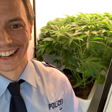 „Jetzt höre ich nicht nur ALLE FARBEN, jetzt sehe ich sie auch“