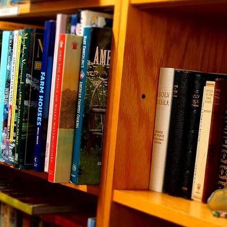 Gersthofen: Vandalen zünden Bücherschrank an