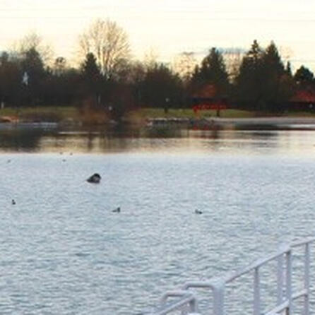 Mann rettet unfreiwilligem Schwimmer im Augsburger Kuhsee das Leben