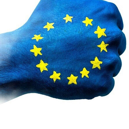 Europawahl in der Region Augsburg und dem Allgäu: So habt ihr gewählt!