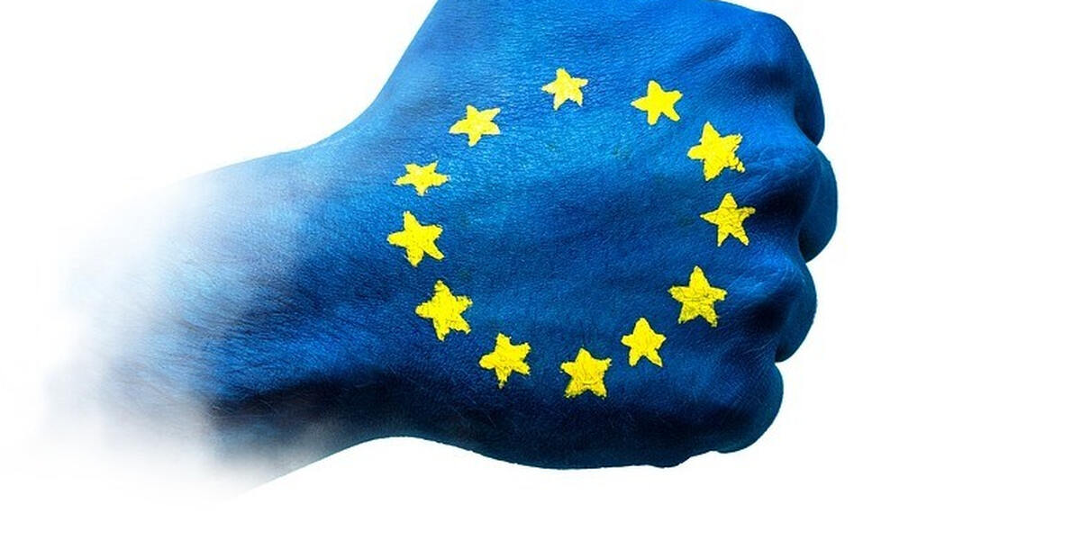 Europawahl in der Region Augsburg und dem Allgäu: So habt ihr gewählt!