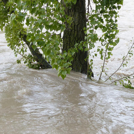 Landratsamt Augsburg warnt: Betrüger spähen Daten von Hochwasseropfern aus 