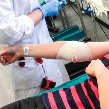 Auch Großraum Augsburg: Blutspenden wieder dringend gebraucht