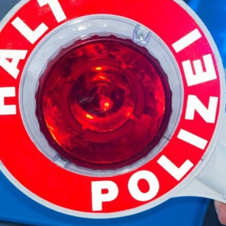 Günzburger Polizei rettet Hundewelpen aus Transporter