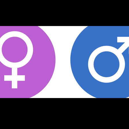 Selbstbestimmungsgesetz: Im Großraum Augsburg Nachfrage überschaubar