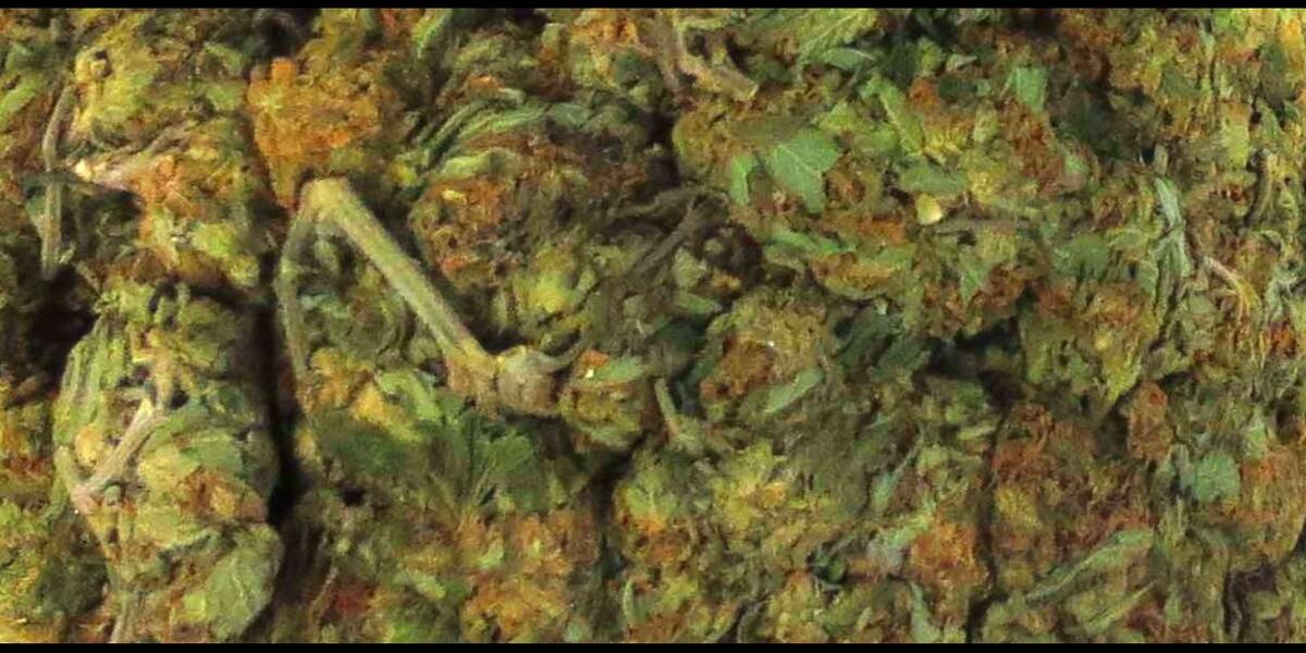 Fünf Augsburger Heranwachsende sollen Hardcore-Drogendealer sein