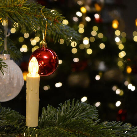 Spektakel am Augsburger Rathausplatz: Christbaum für alle wird aufgestellt