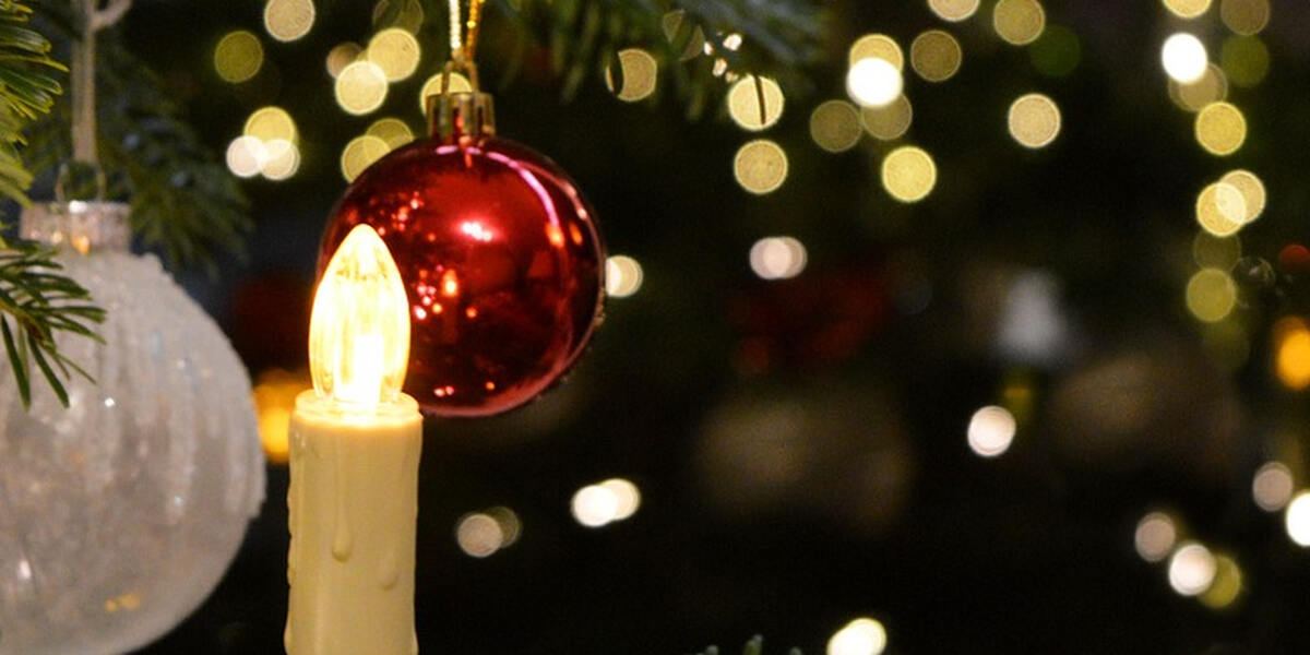 Spektakel am Augsburger Rathausplatz: Christbaum für alle wird aufgestellt