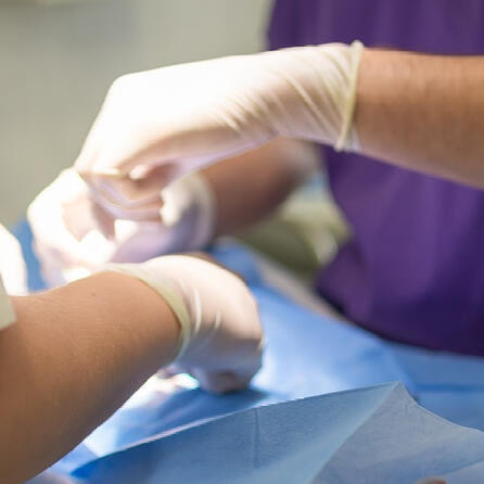 Not-OP rettet Tierleben: Unbekannter verletzt Katze in Dasing durch tiefe Schnittwunden