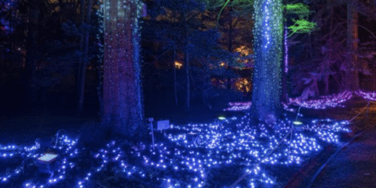 Christmas Garden kommt zum zweiten Mal in den Augsburger Zoo