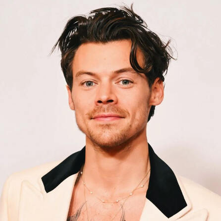 „The True Story of Harry Styles“ läuft im ZDF