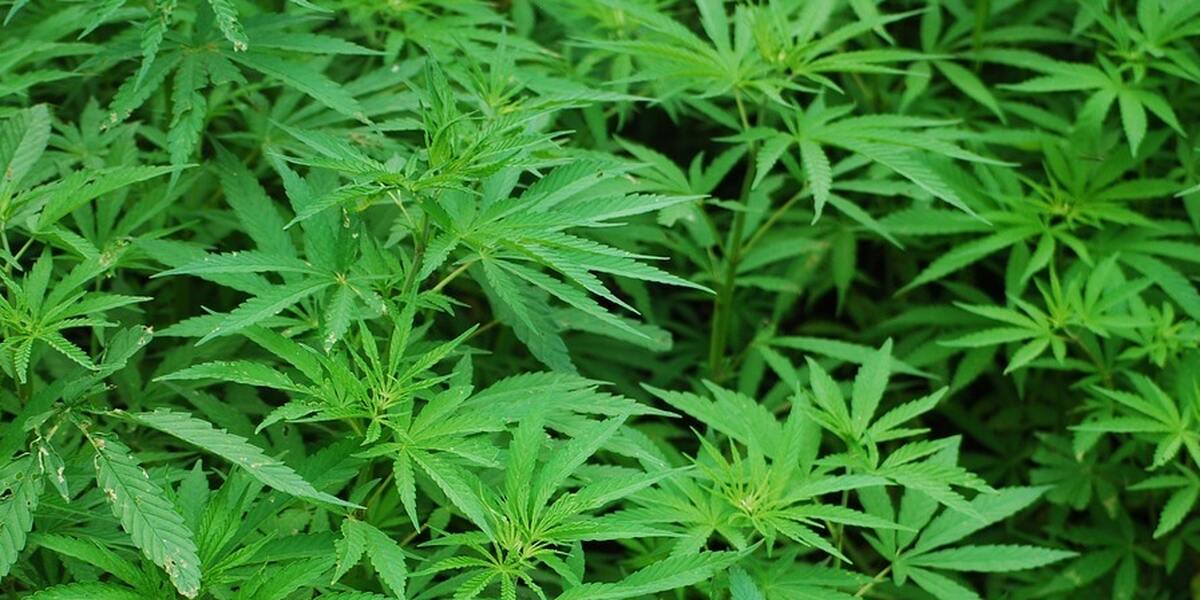 Bong geraucht: Teenager landen im Krankenhaus