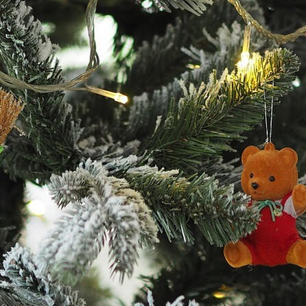 Christbaum für alle wird heute in Augsburg aufgestellt