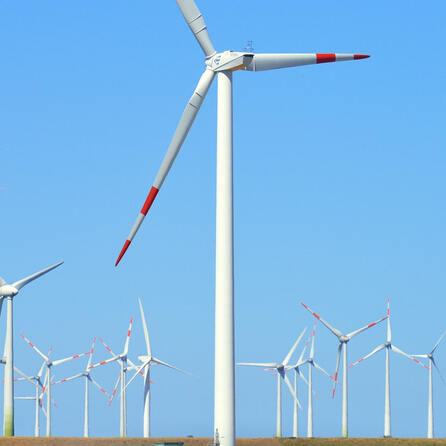 Ein Meer an Windrädern: Im Kreis Günzburg soll ein Riesenpark entstehen
