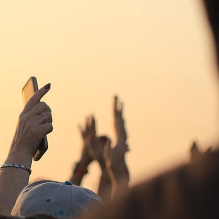 Dillingen: Kein Donauside dieses Jahr