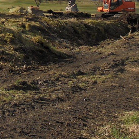 Bäume und Büsche müssen weg: Ehemalige Memminger Grüngutsammelstelle wird rekultiviert 