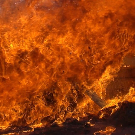 Mutmaßliche Brandstiftung löst Waldbrand in Landsberg aus