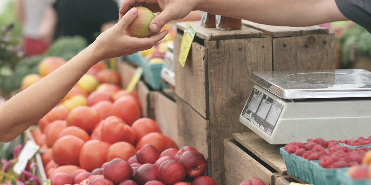 Augsburger Bauernmarkt soll auf Vordermann gebracht werden - Im Sommer rollen die Bagger an