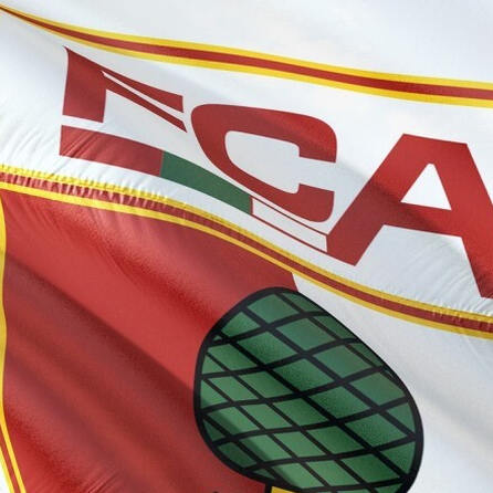 FC Augsburg-Fans verursachen 50.000 Euro Strafe vom Sportgericht