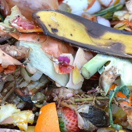 Was darf rein und was nicht? Neue Vorgaben für die Biotonne in Augsburg ab 1. Mai 2025