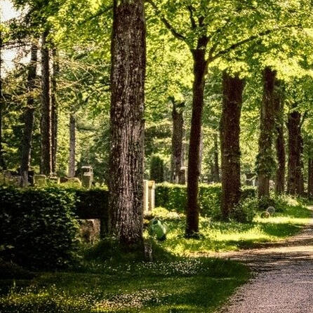 Störung der Totenruhe auf dem Waldfriedhof Illertissen