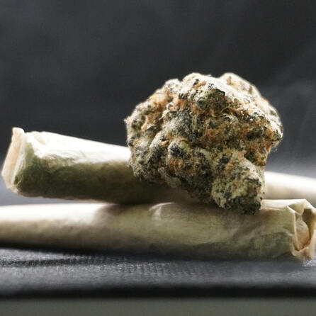 Auswirkungen des Cannabis-Gesetzes auf die Arbeit der Augsburger Polizei