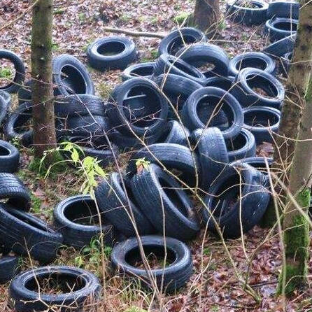 Pöttmes: Tausend Autoreifen im Wald entsorgt