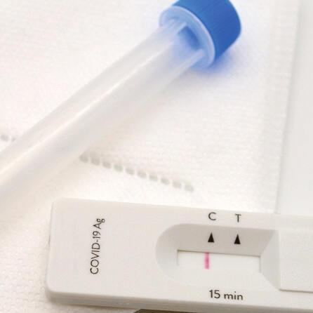 Corona-Testpflicht: Augsburg ist Vorreiter bei Lollitests in Kitas - im Dezember gehts los!