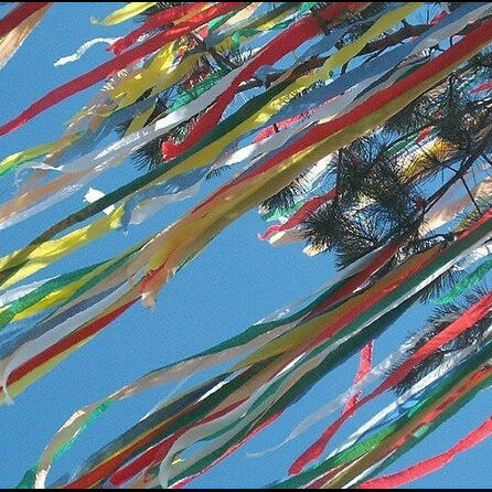 Angesägter Maibaum in Ottobeuren: Täter haben sich gestellt